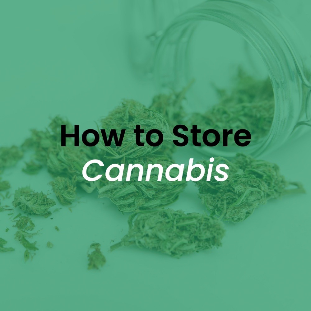 cannabis store in scarborough