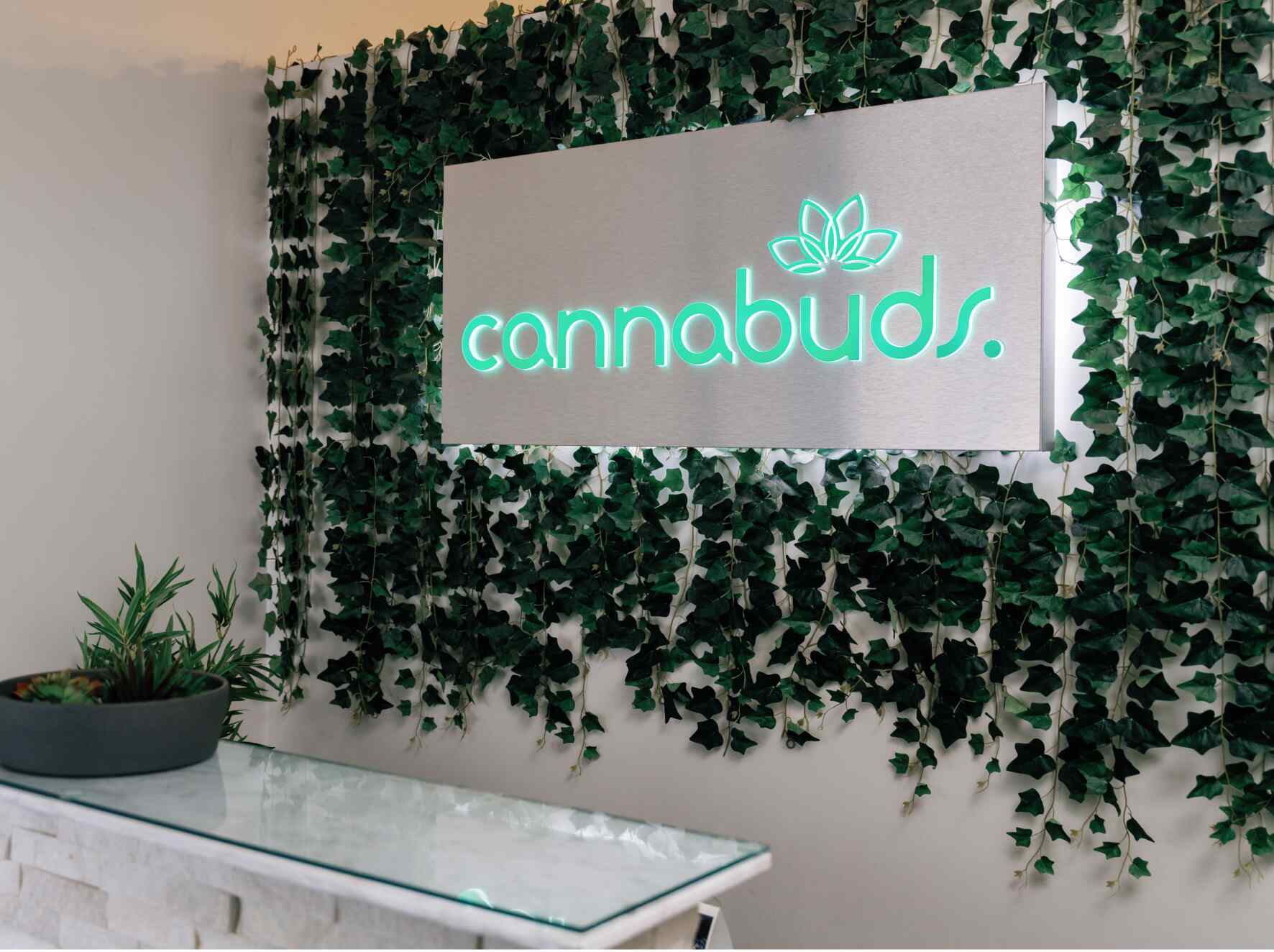Marijuana Dispensary in Scarborough