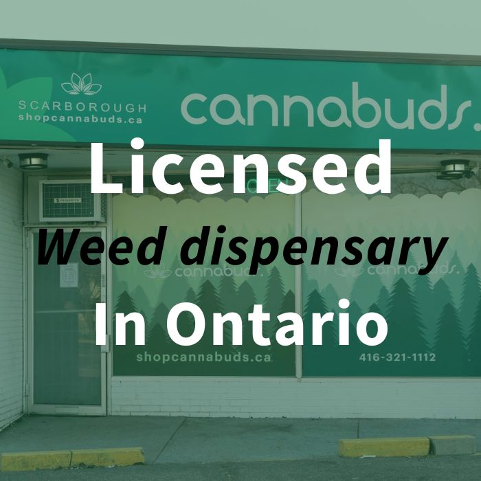 licensed-weed-dispensary-ontario