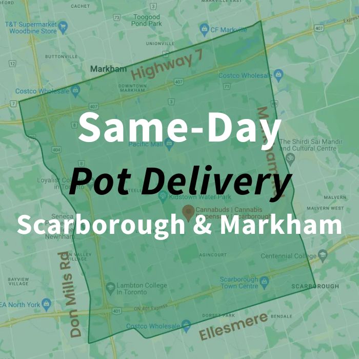 same-day-pot-delivery-in-scarborough-markham