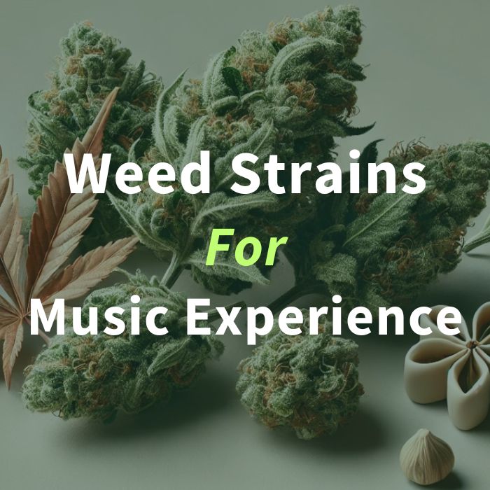 weed strains for music experience