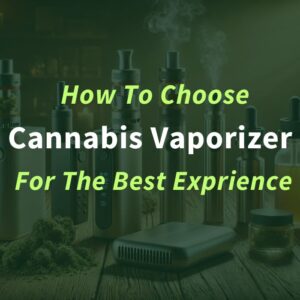 What to Look for When Buying a Cannabis Vaporizer