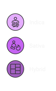 Marijuana Strains & Forms