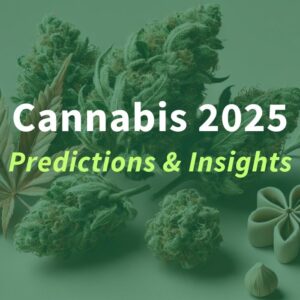 cannabis-2025-prediction