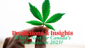 cannabis-2025-prediction-and-insights