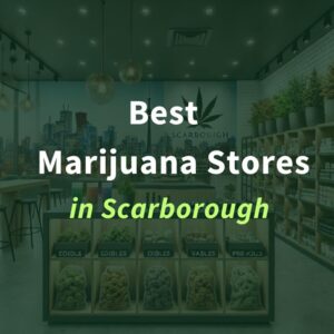 Best Marijuana Stores in Scarborough