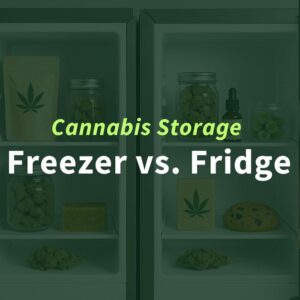 Illustration comparing storage options for cannabis in a freezer vs. fridge, showing jars and cannabis products inside each compartment with the title: Cannabis in the Freezer – Can You Store Cannabis in the Freezer or Fridge?