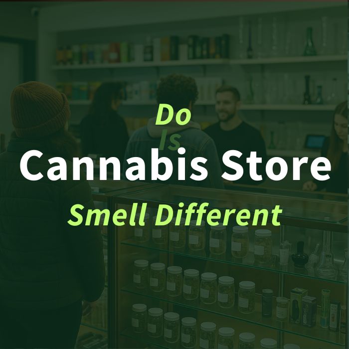 Interior of a cannabis store in Scarborough with customers and display jars, highlighting unique dispensary aromas.