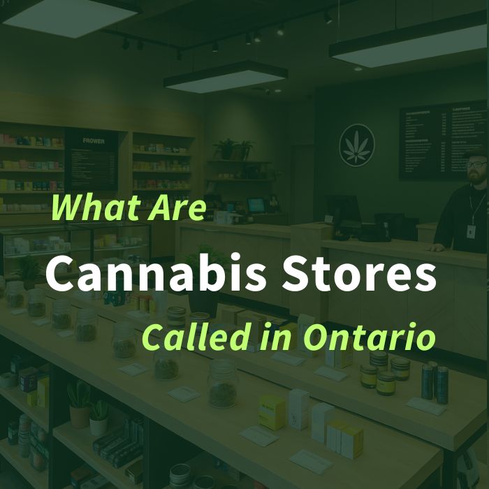 Interior of a modern cannabis retail store in Ontario with product displays on counters and shelves. Text overlay reads "What Are Cannabis Stores Called in Ontario" in bold white and green font.