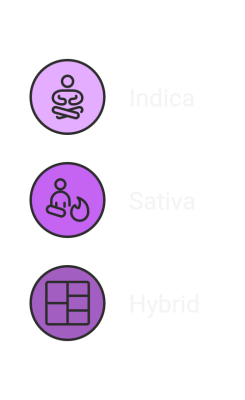 Marijuana Strains & Forms